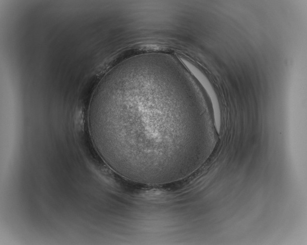 X0000111940551200908031140