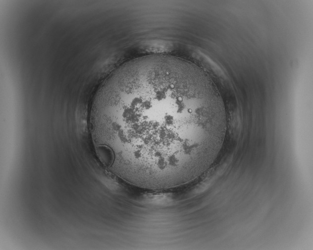 X0000111940553200908031140