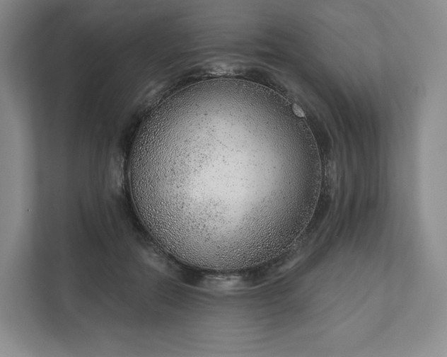 X0000111940554200908031140