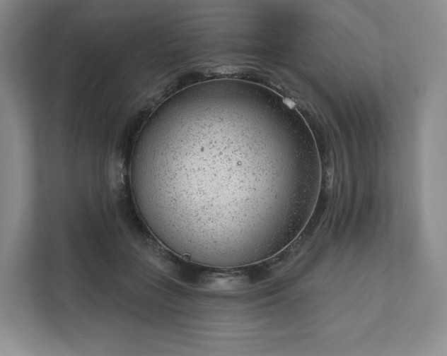 X0000111940555200908031140