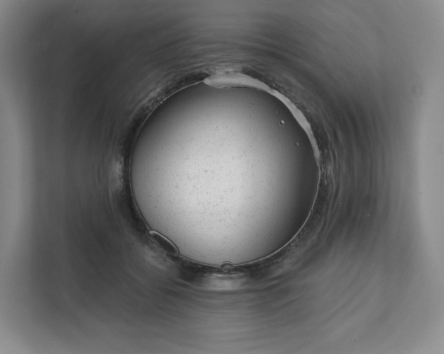 X0000111940556200908031140