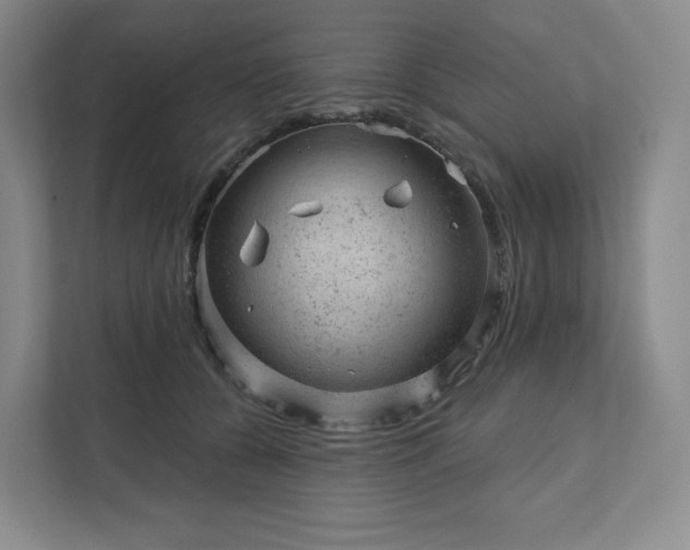 X0000111940560200908031140