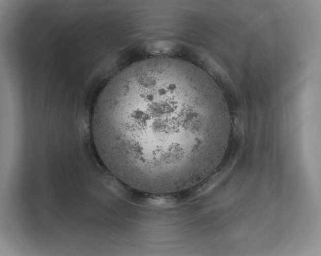 X0000111940561200908031140