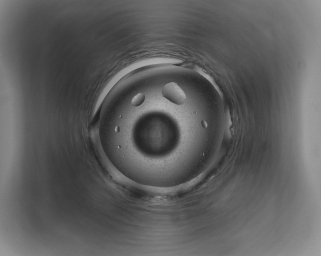 X0000111940562200908031140