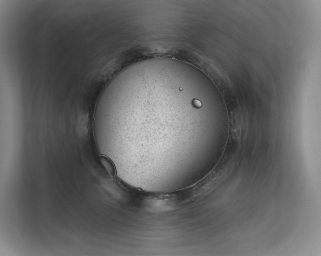 X0000111940563200908031140