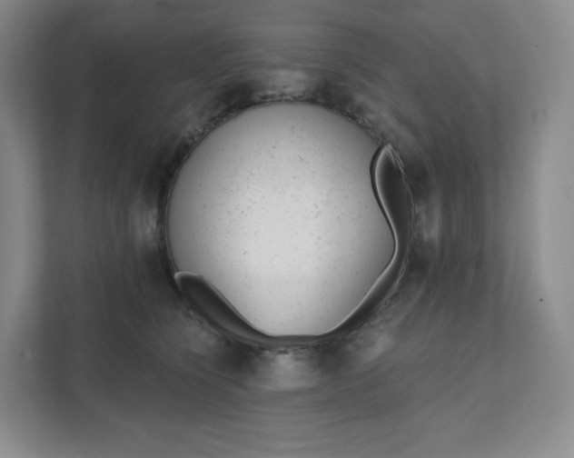 X0000111940564200908031140