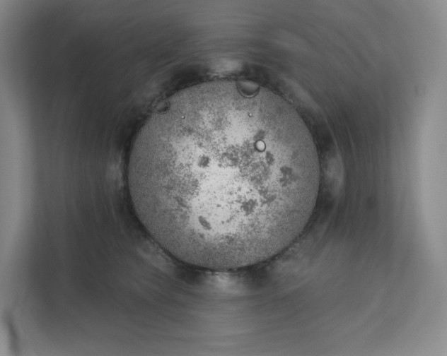 X0000111940565200908031140