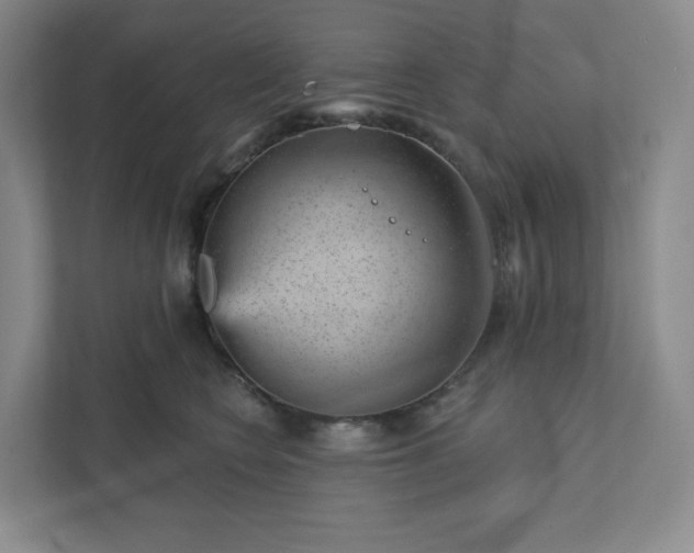 X0000111940566200908031140