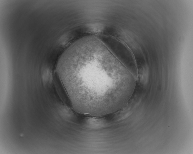 X0000111940568200908031140