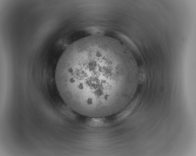 X0000111940573200908031140