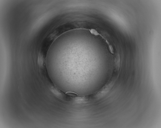 X0000111940574200908031140