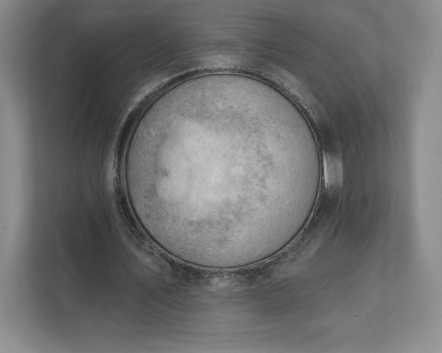 X0000111940579200908031140