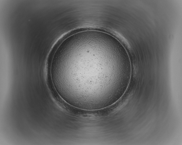 X0000111940580200908031140