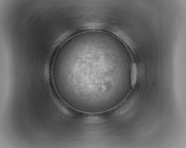 X0000111940581200908031140