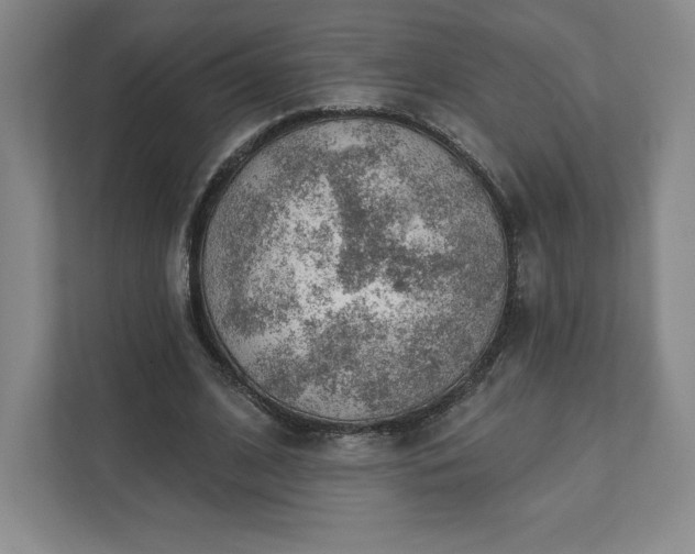 X0000111940584200908031140