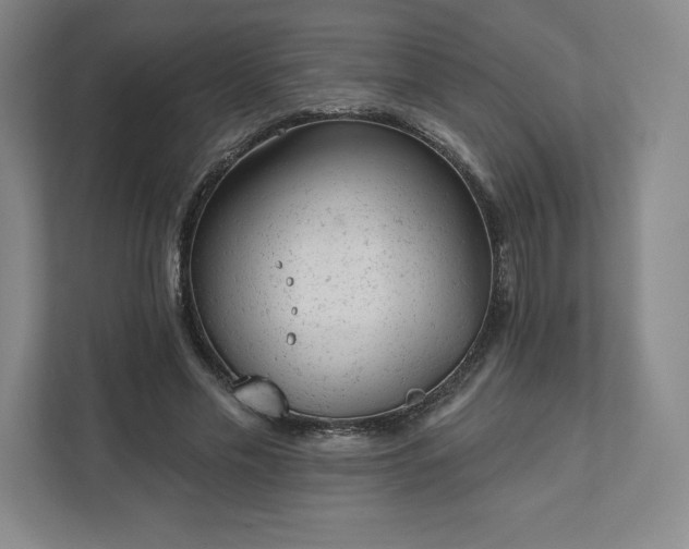 X0000111940589200908031140