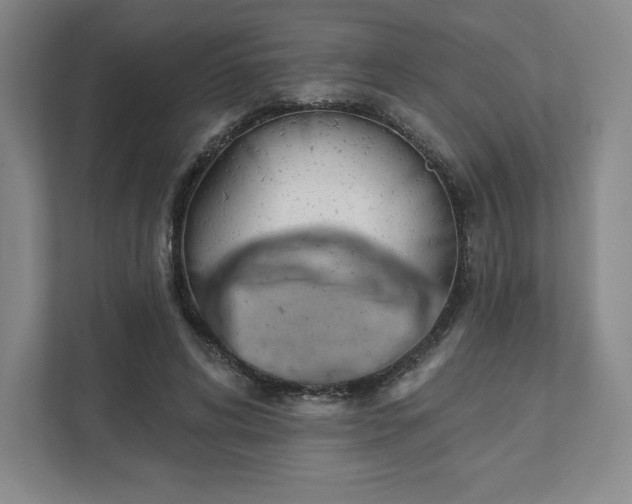 X0000111940592200908031140