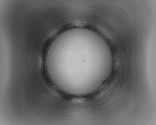 X0000111940595200908031139