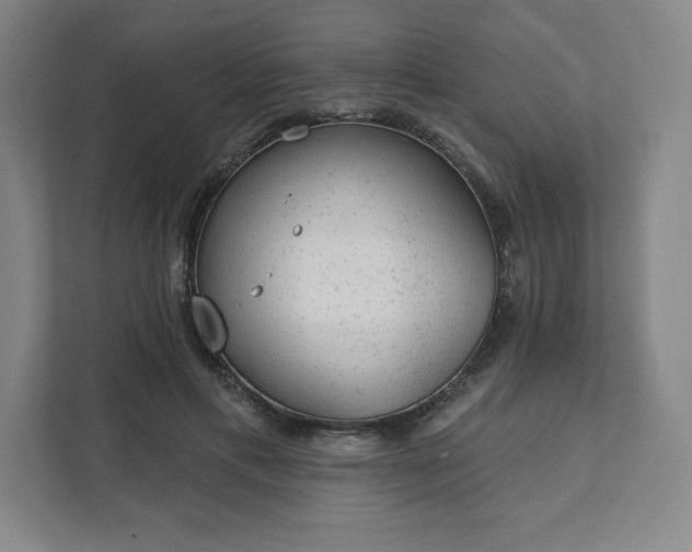 X0000111940597200908031139