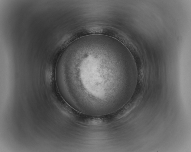 X0000111940600200908031139