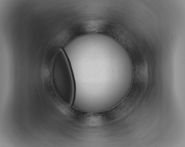 X0000111940601200908031139