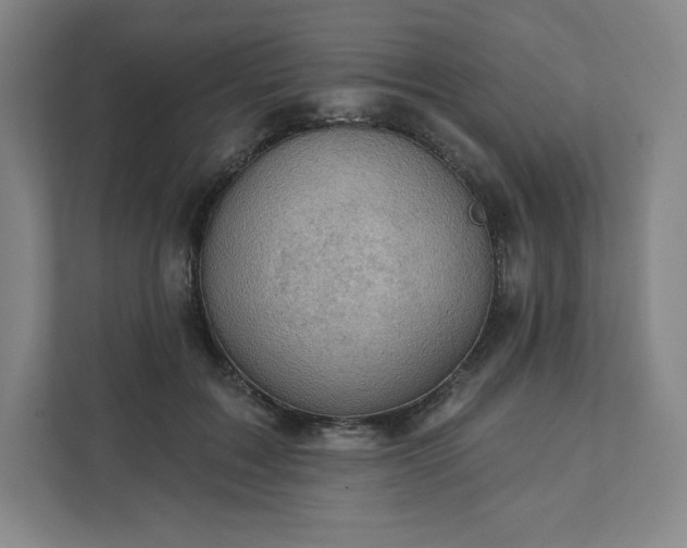 X0000111940603200908031139