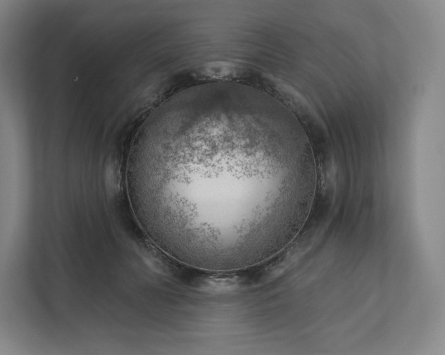 X0000111940606200908031139