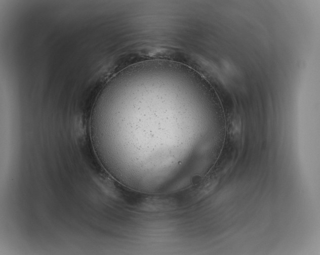 X0000111940607200908031139