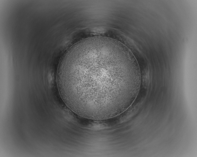 X0000111940608200908031139