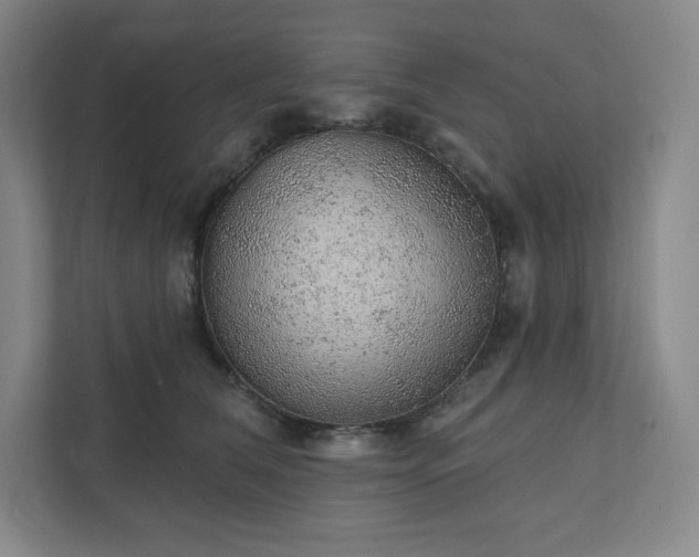 X0000111940612200908031139