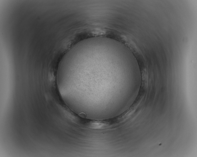 X0000111940614200908031139