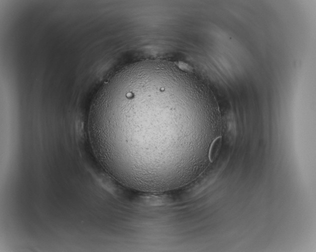 X0000111940615200908031139