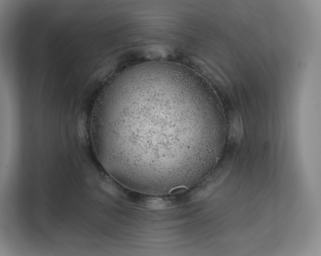 X0000111940616200908031139