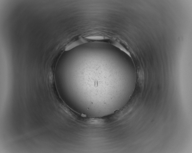 X0000111940617200908031139