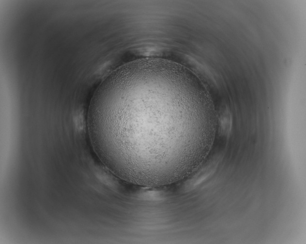 X0000111940620200908031139