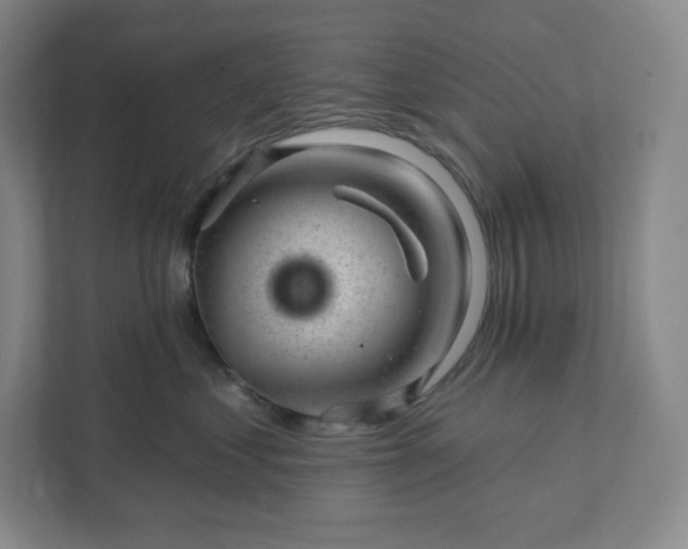 X0000111940621200908031139