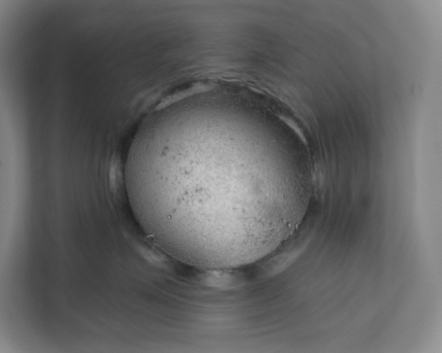 X0000111940623200908031139