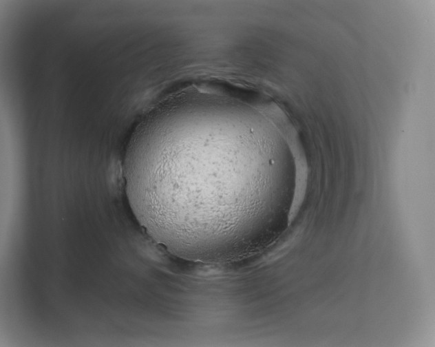 X0000111940624200908031139