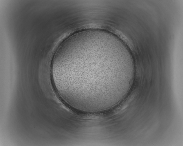 X0000111940625200908031138