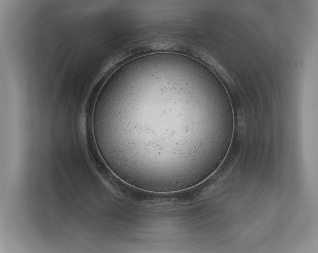 X0000111940626200908031139