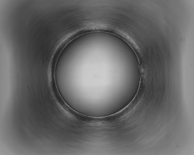 X0000111940629200908031139