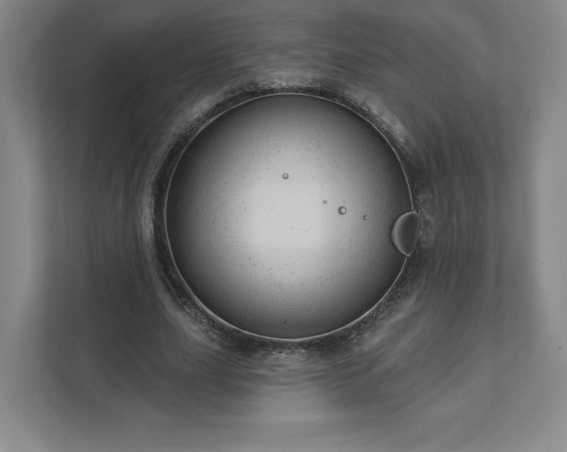 X0000111940631200908031139