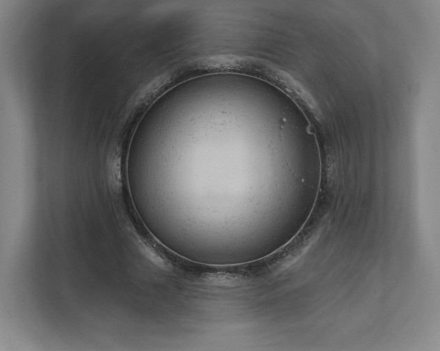 X0000111940633200908031139