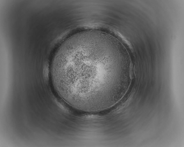 X0000111940637200908031139