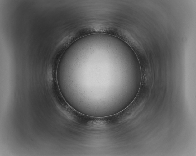 X0000111940639200908031139