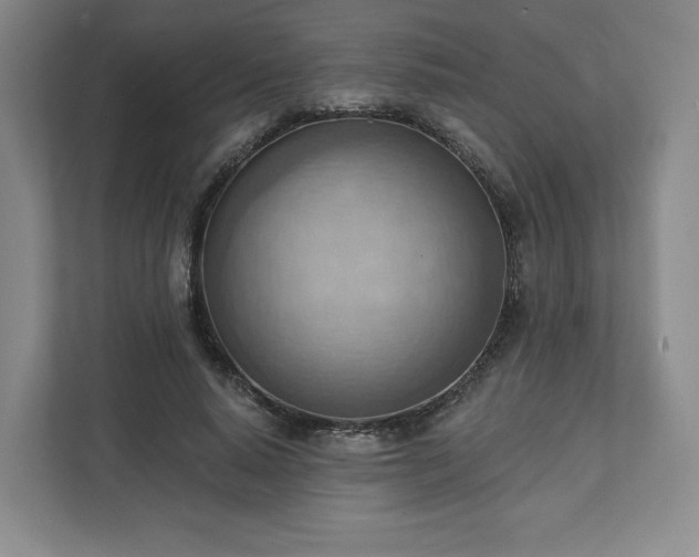 X0000111940640200908031139