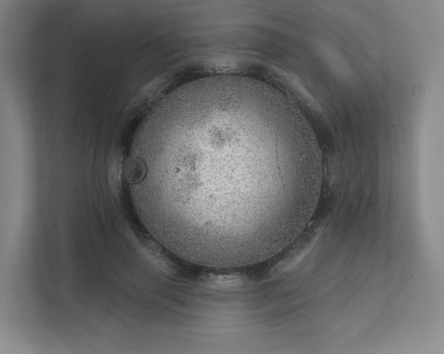 X0000111940645200908031139