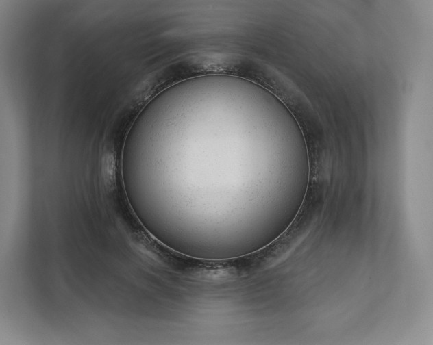 X0000111940646200908031139