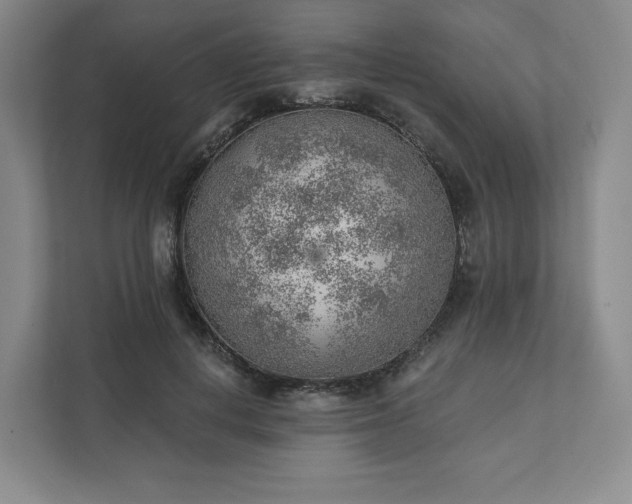 X0000111940648200908031139