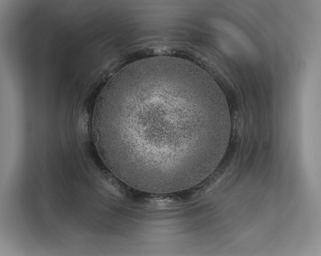 X0000111940650200908031139